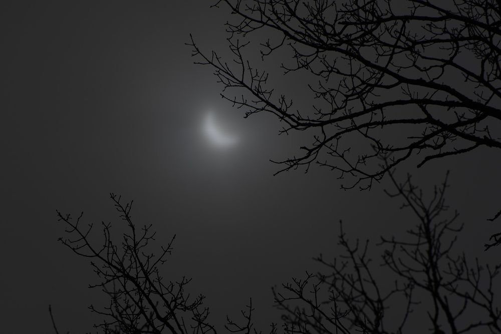 2015-03-20:043 Solar Eclipse by Magnus Norden