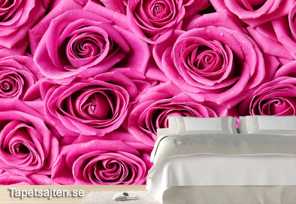 Blommig tapet ros rosa rosor fototapet blommor romantisk sovrumstapet