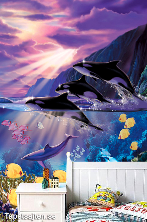 Delfin Tapet Späckhuggare Orcas Naturtapet Djur Tapet