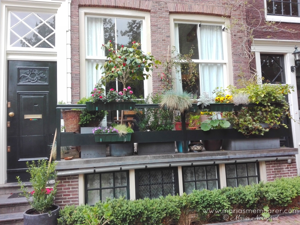 husfasad och balkongplanteringar i Amsterdam
