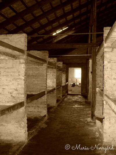 sovsalarna i Birkenau, koncentrationsläger/förintelseläger