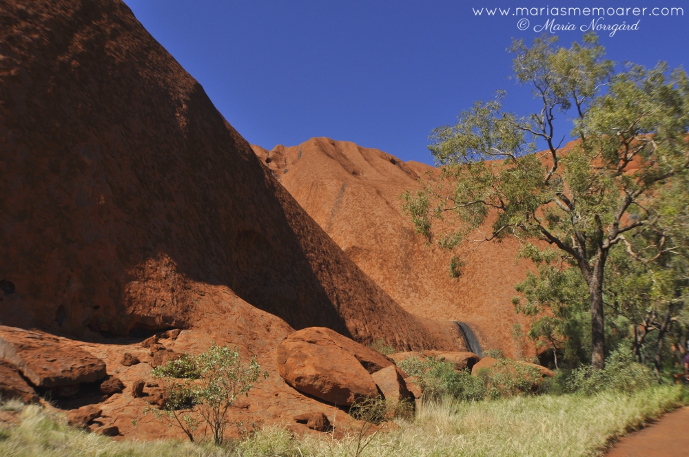 Uluru, aboriginernas heliga berg i Australien