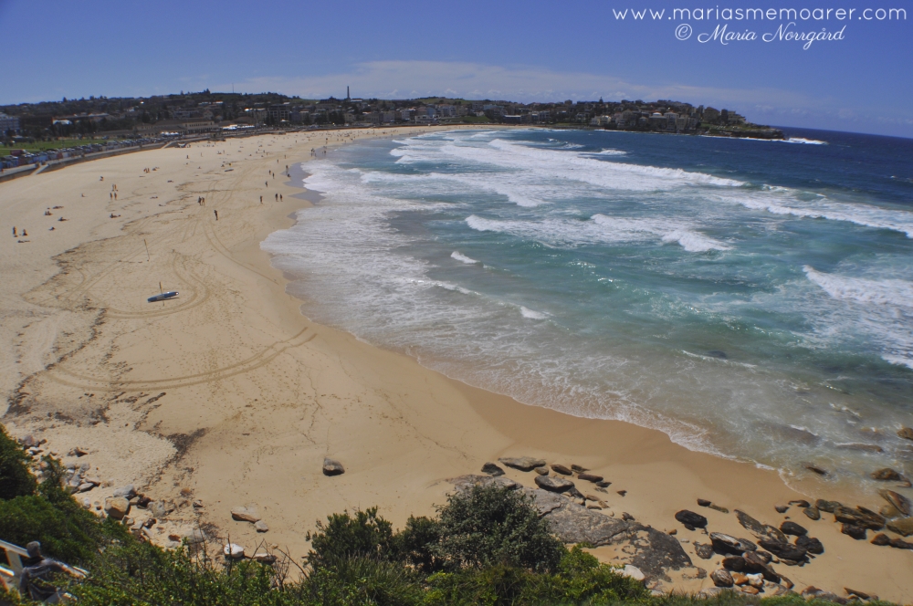 stränderna du måste se i Australien - Bondi Beach Sydney