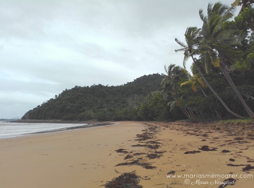stränder med palmer vid Australiens östkust - Mission Beach, Queensland nära Cairns
