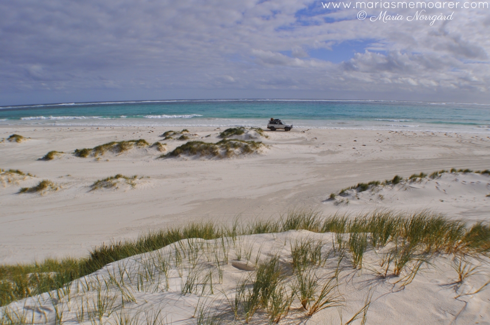 vita stränder nära Perth Western Australia - Wedge Island