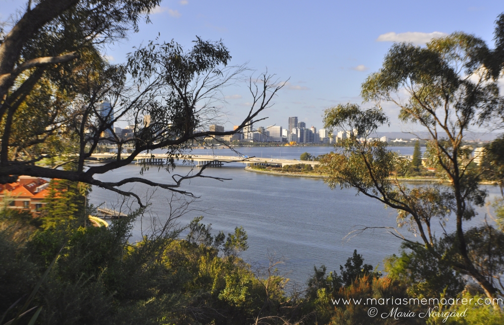 sevärt i Perth, Australien - vackra stadsvyer från Kings Park