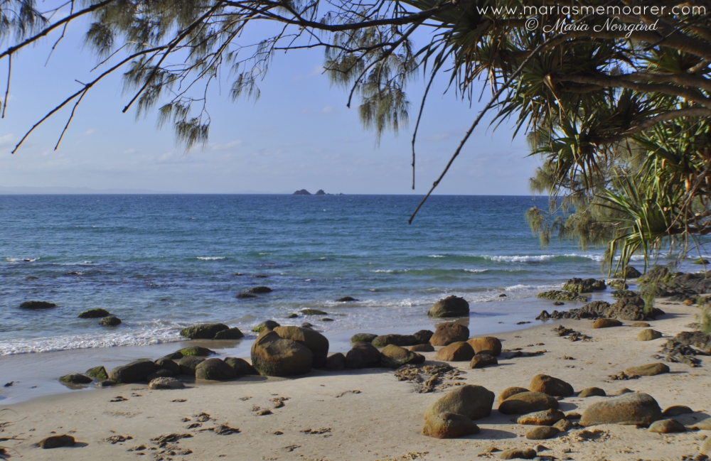 beach in Byron Bay, NSW, Australia