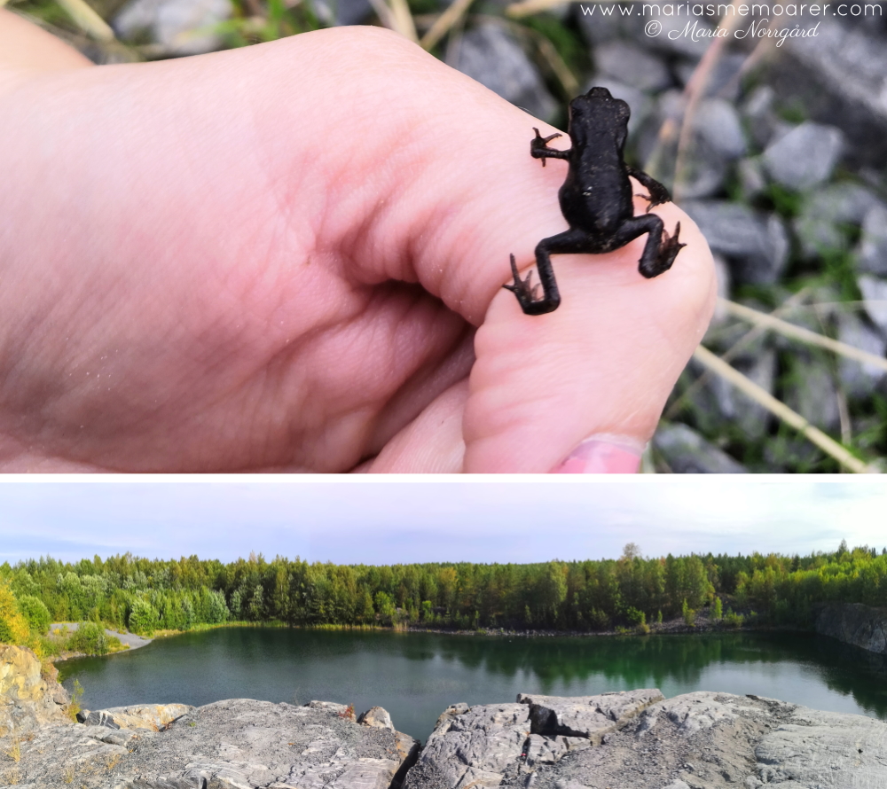 grodor och campingplatser i Österbotten, Finland