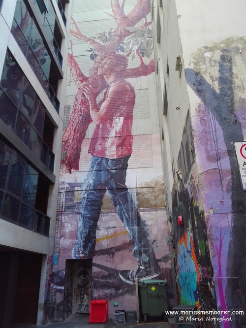 beautiful street art in Melbourne cbd, Australia
