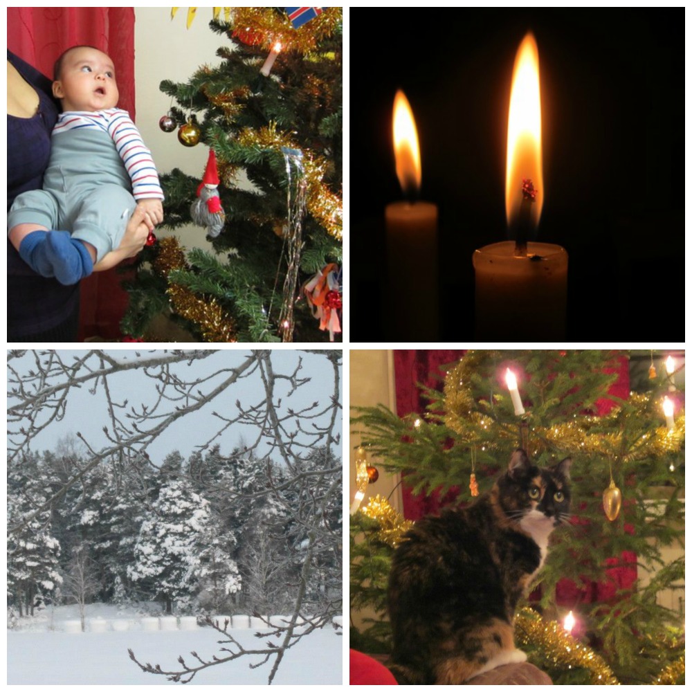 Christmas tree, christmas cat and Winter wonderland