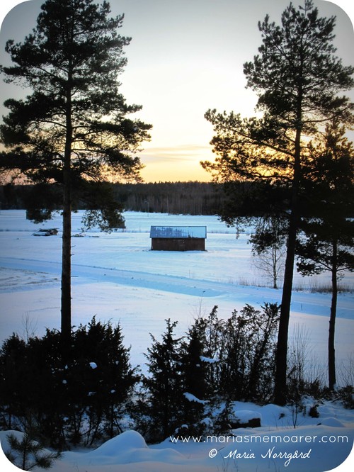 winter in Oravais/Oravainen, Finland