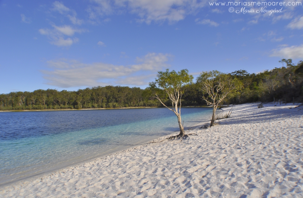 Lake McKenzie, Fraser Island, Queensland, Australia