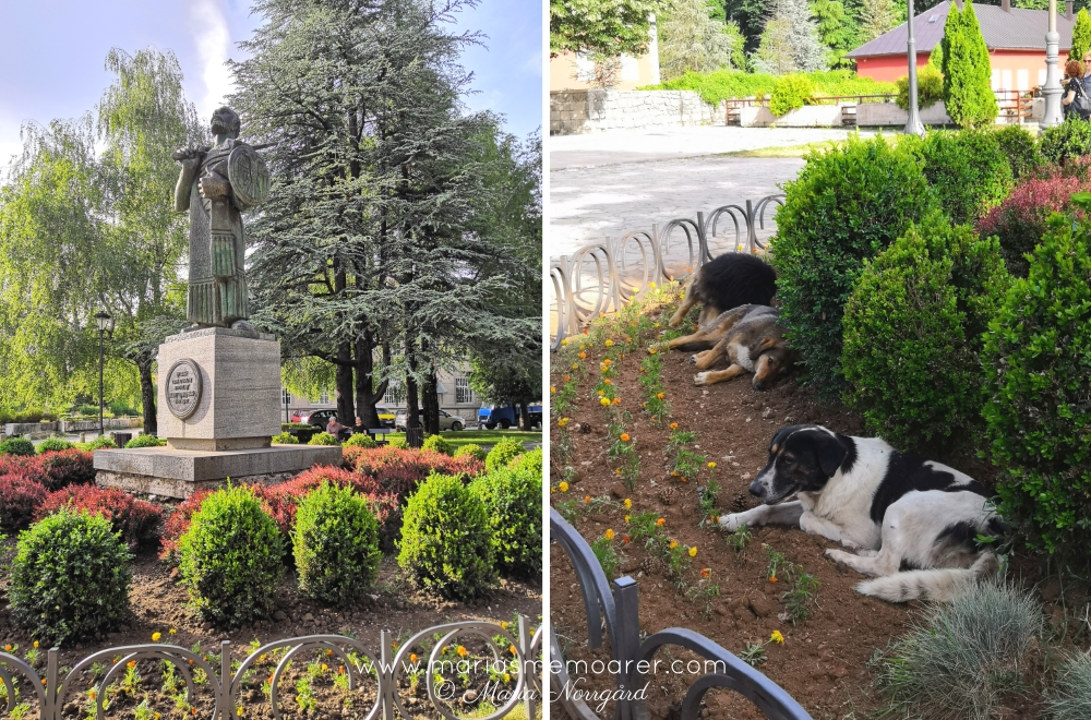 Montenegros gamla huvudstad Cetinje - staty och hundar