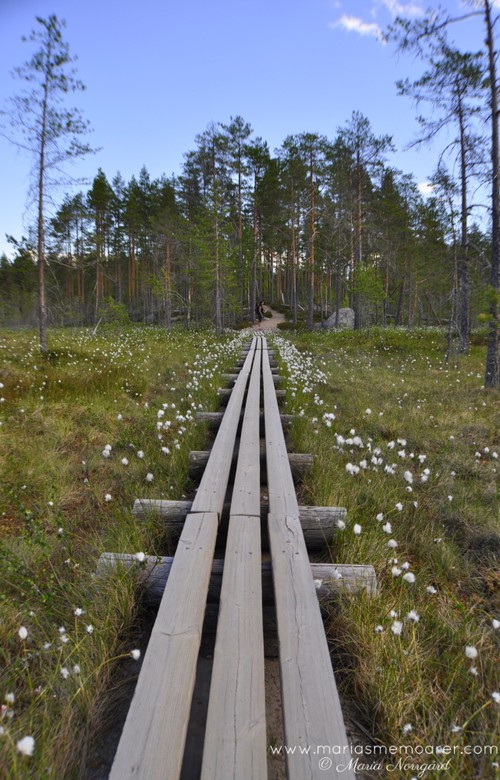 vandra i Finland - Helvetinjärvi nationalpark