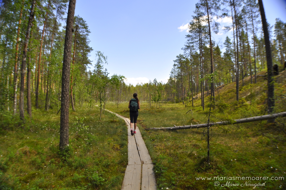 vandringsleder i Finland nära Tammerfors - Helvetinjärvi nationalpark