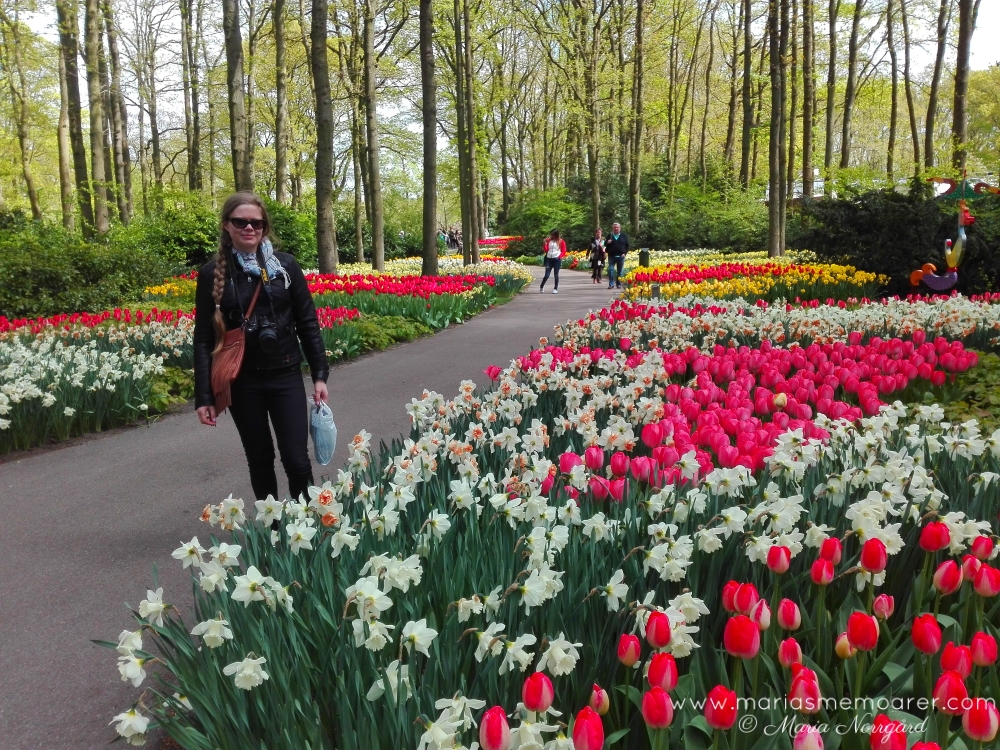 tips på vårweekend - Keukenhof blomsterpark, Holland, Nederländerna