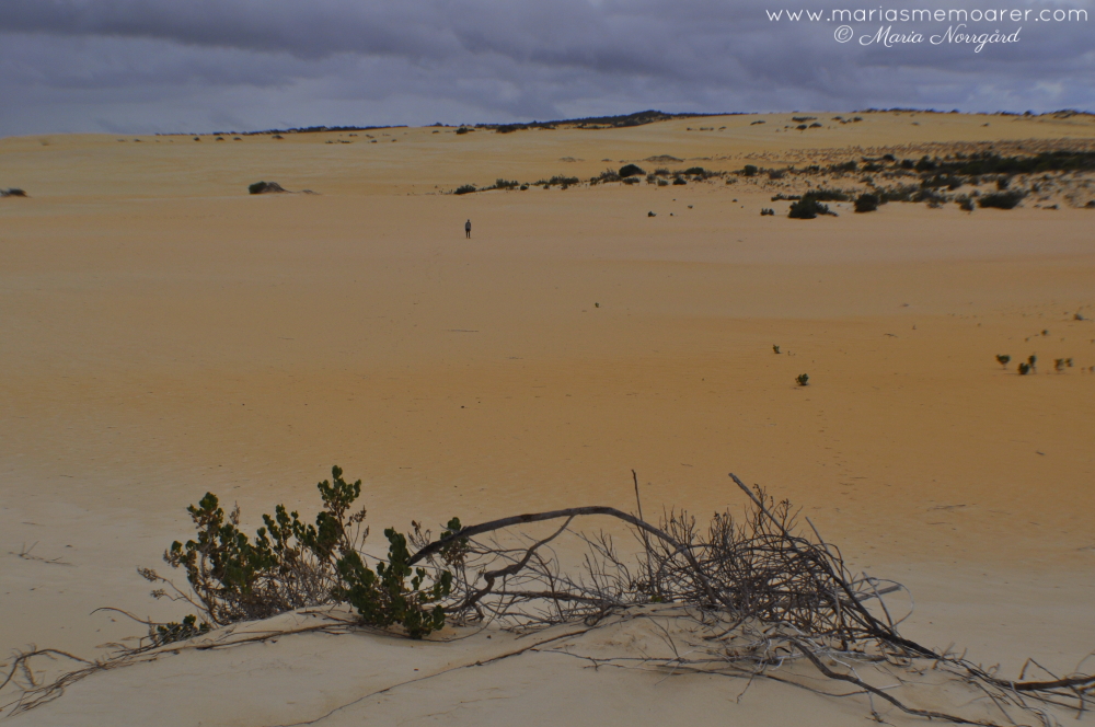 photo challenge fotoutmaning climate klimat - Pinnacles öken västra Australien