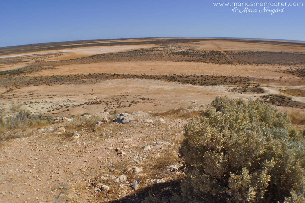 photo challenge fotoutmaning climate klimat - kontinentalklimat Western Australia