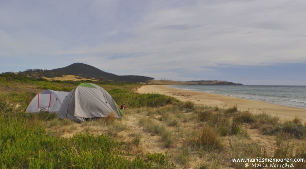 Camping spot at secluded beach, Tasmania / camping vid orörd strand i Tasmanien, Lords Bluff