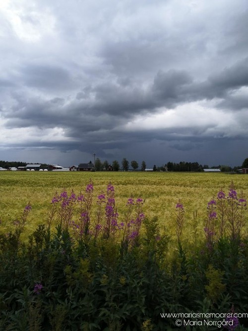fotoutmaning moln - åskmoln i Kimo, Österbotten, Finland