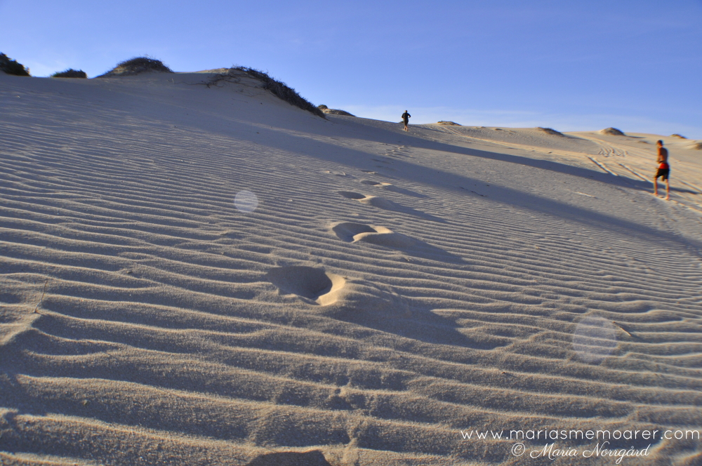 fototema mönster - naturliga mönster sanddyner i Western Australia