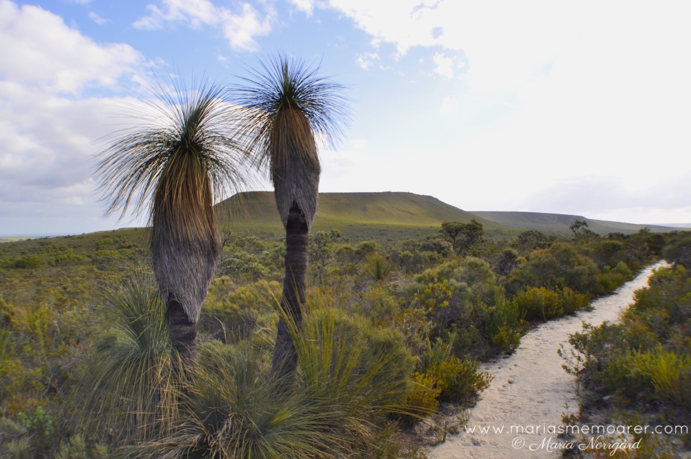 national park Western Australia - Lesueur