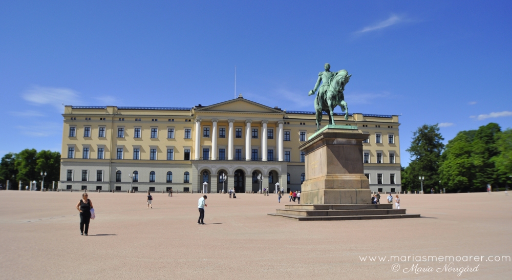 sightseeing Oslo - The Royal Palace