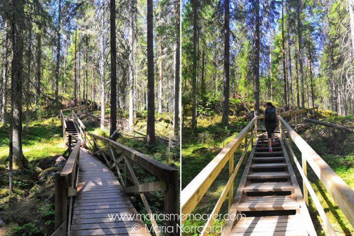 Finlands bästa vandringsleder och nationalparker - Helvetinjärvi