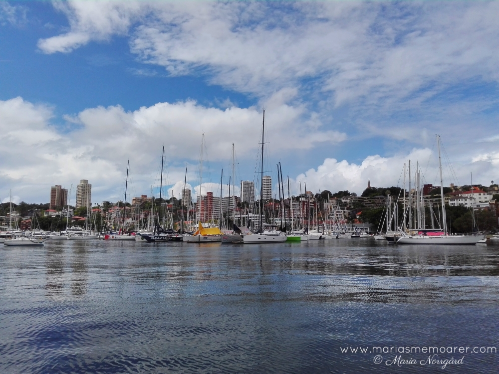 Rushcutters Bay och segelbåtar i Sydney, Australien