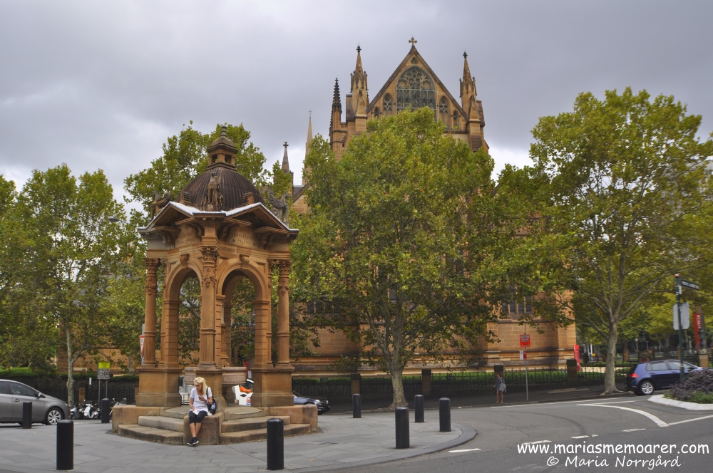 vackra byggnader i Sydney - St Mary's Cathedral