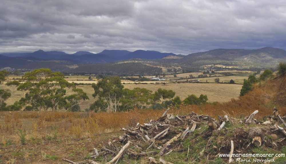 landscape of tasmanian countryside / landskap på tasmanska landsbygden