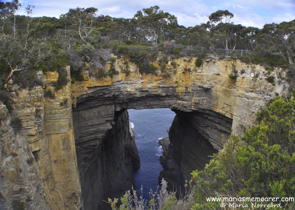Tasmans Arch, Tasmania / Tasmanien
