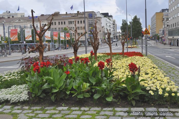 Vasa sommarstad - blomsterarrangemang / Vaasa during summer, flower arrangements