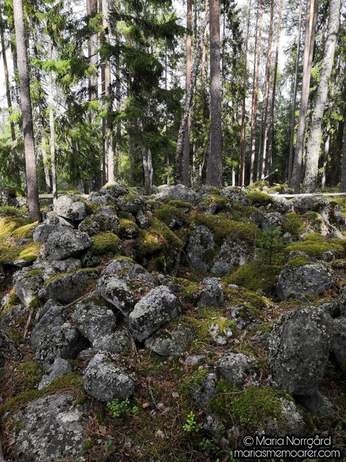 vandringsleder i Vörå - Vitmossens bronsåldersled