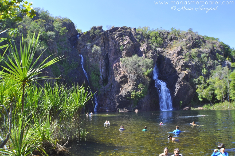vattenfall i Australien: waterfall Wangi Falls, Litchfield National Park near Darwin, Northern Territory