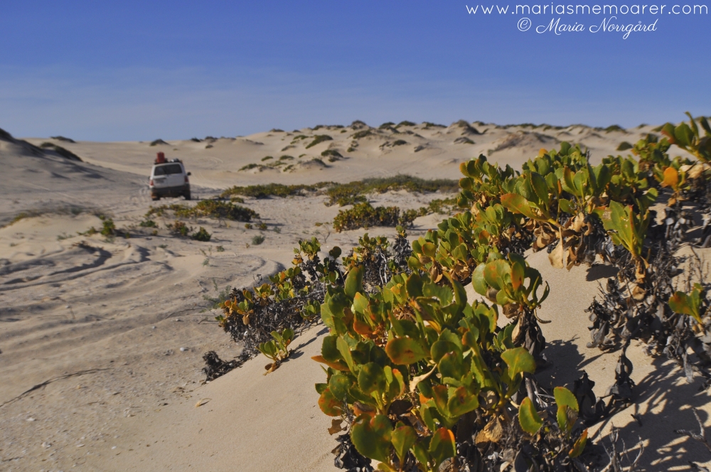 cool 4wd spots in Western Australia - sand dunes