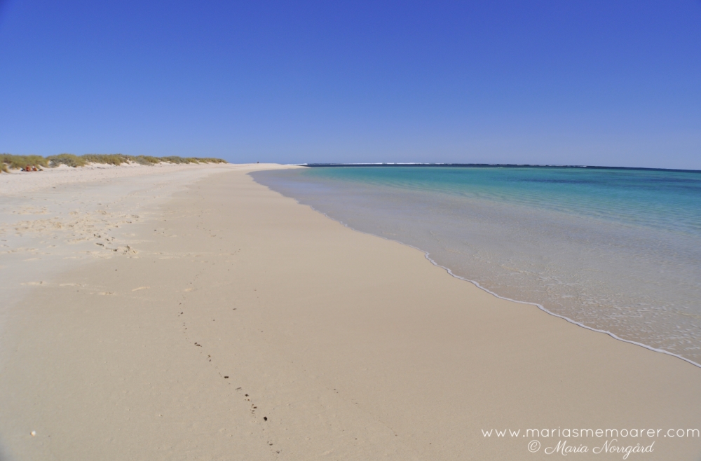 Turquoise Bay beach, Western Australia - stränder längs Australiens västkust