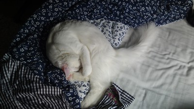 Så söt när han sover, det lilla odjuret.