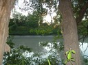 East Alligator River