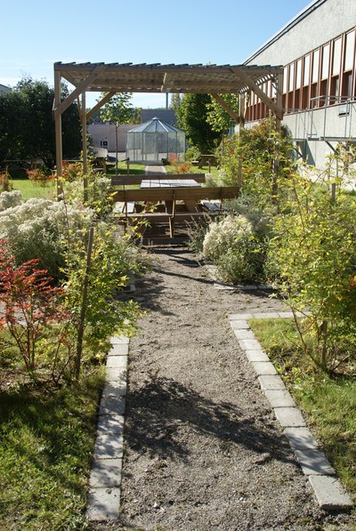 Här är Sundsvalls gymnasiums fina trädgård som vi tjejer driver det här året.