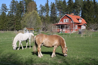 mina hästar och huset. :)