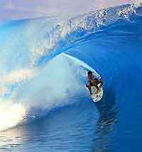 Surfing in NZ