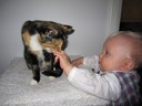 Första närkontakten med en katt =)