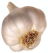 http://www.thailandkusten.com/images/garlic.jpg