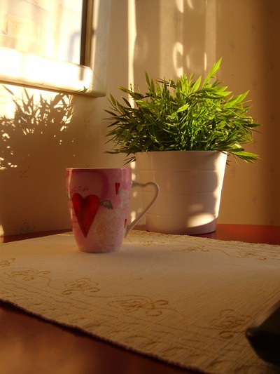 kaffe, blomma, sol