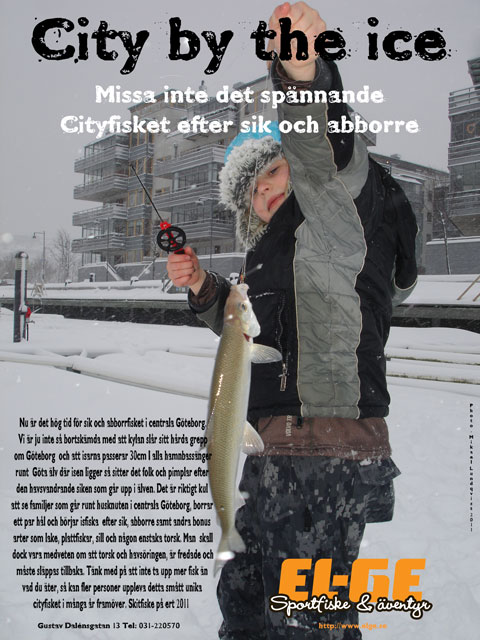 Cityfiske efter sik i Göteborgs centrala delar.