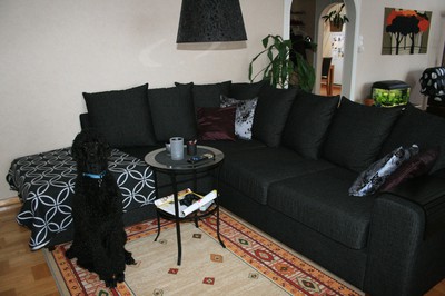 Den nya soffan, bordet och Nemo såklart. :)