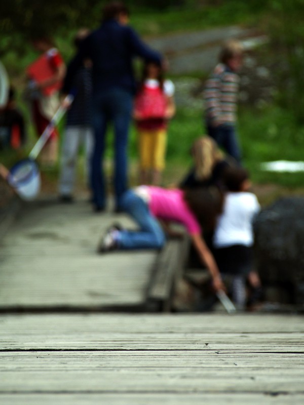 Barn som leker på en brygga i Stockholms skärgård