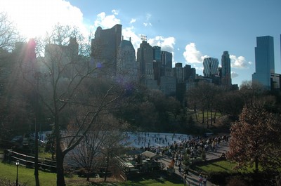 Central Park en varm Januari morgon -06