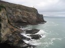 Här ute bland klipporna trivs albatrossen bra!